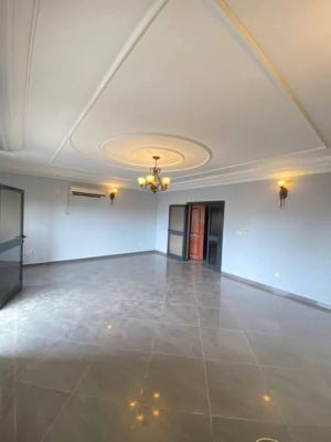 Appartement moderne haut standing entièrement climatisé avec groupe électrogène chauffe