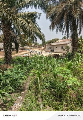 #OFFRE_SPECIALE sur Kondéah - Image 4