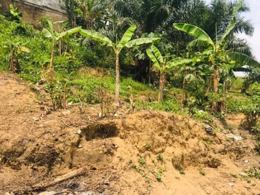 Voila un 210m2 sec nyalla nkolbong à 150m2 du goudron titre global ( certificat de vente )