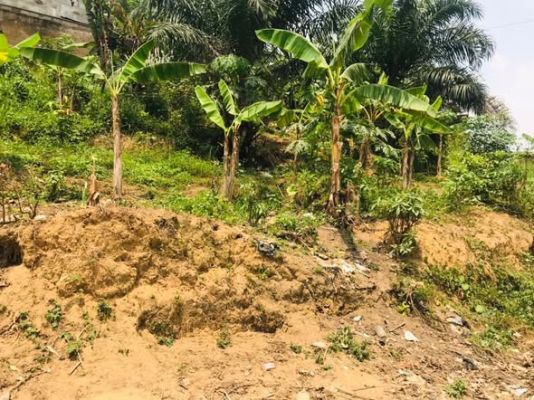voila un 210m2 sec nyalla nkolbong  à 150m2 du goudron Titre global ( certificat de vente ) - Image 2