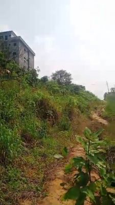 Magnifique terrain titré a vendre a douala lendi