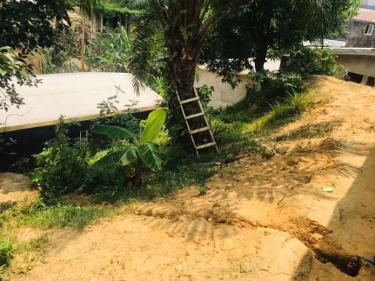Terrain de 300m2 légèrement accidenté nyalla nkolbong à 200m2 du goudron titre global ( certificat de vente )