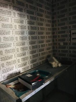 Studio disponible à #lambanyi - Image 2
