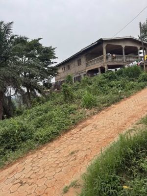 Terrain a vendre a Obobogo - Image 2